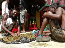 rastafari-ganja-cannabis