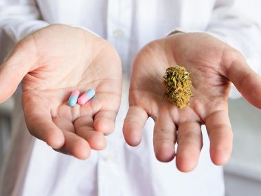 Wechselwirkungen Cannabis Medikamente