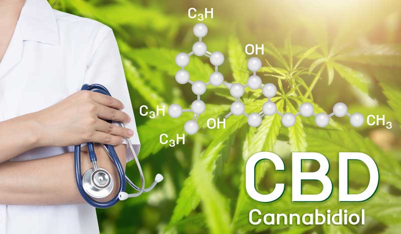 Hanfverband fordert endlich Klarheit im Umgang mit CBD!