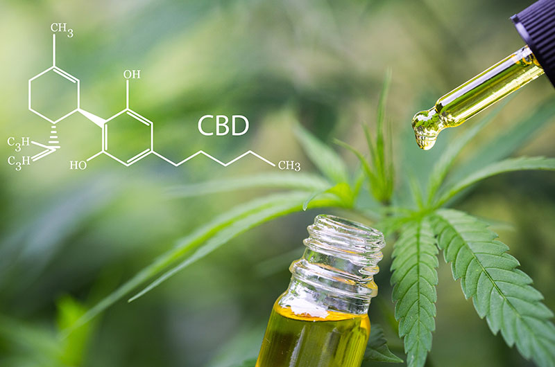 CBD-Öl – Der Unterschied zwischen Vollspektrum und Isolat