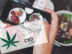 cbd-food-trends-report