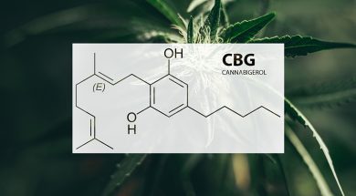 cbg-cannabigerol