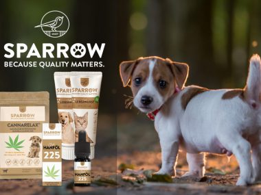 SPARROW_Pet_Banner