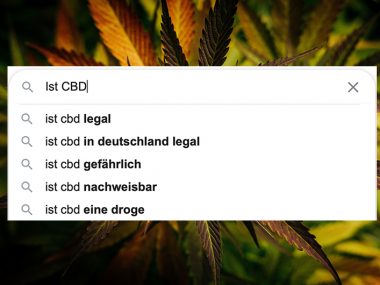 CBD_Fragen_2