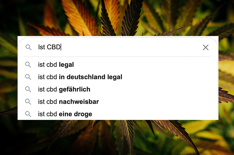 CBD: Die 60 meist gegoogelten Fragen und unsere Antworten – PART 2