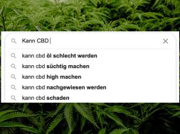 CBD: Meist gegoogelte Fragen