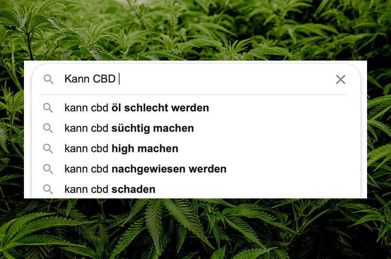 CBD: Die 60 meist gegoogelten Fragen und unsere Antworten – PART 1