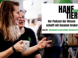 cbd-interview-katze-podcast