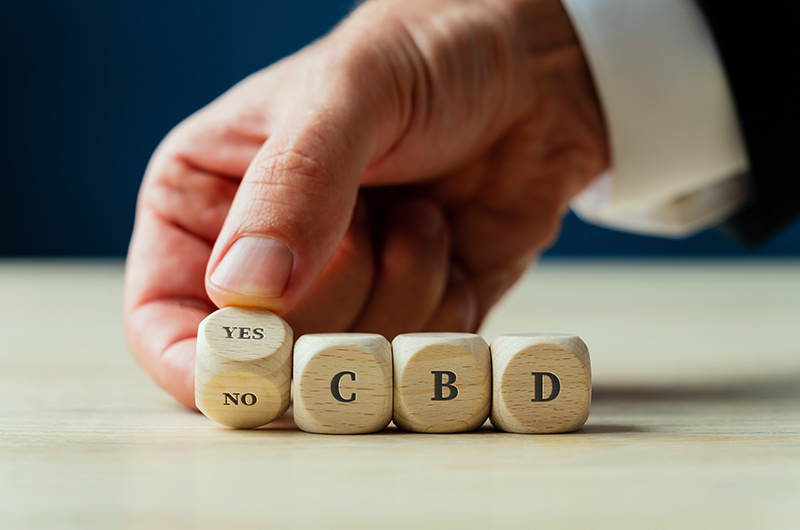 Droht ein CBD Verbot in der EU? Und was hat Daniela Ludwig damit zu tun?