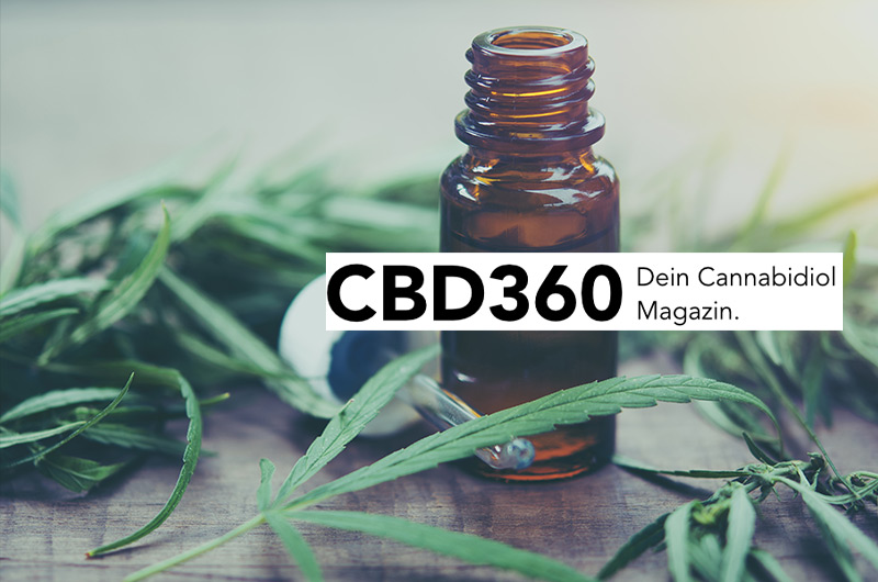 CBD360: Die Top-Adresse rund um das Thema CBD