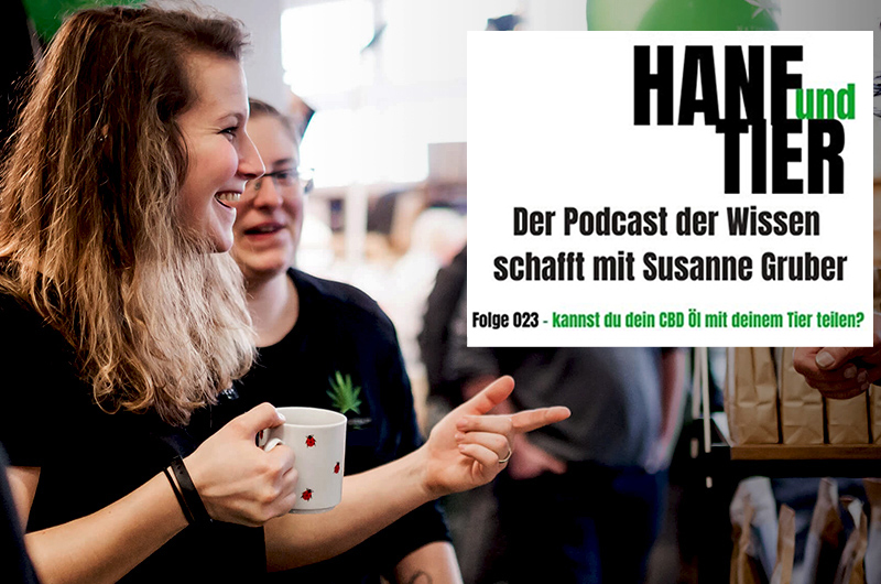 Podcast: Kann ich mein CBD Öl mit meinem Haustier teilen?