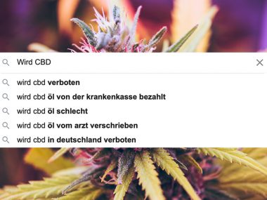 Titelbild-CBD-Fragen-PART4