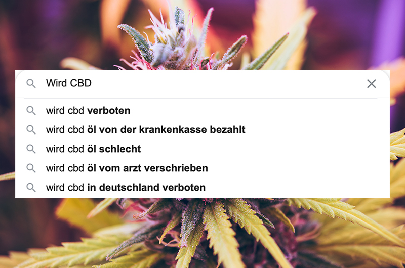 CBD: Die 60 meist gegoogelten Fragen und unsere Antworten – PART 4