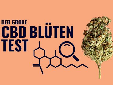 cbd-blueten-test